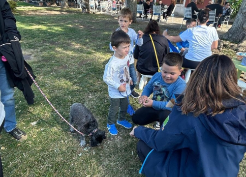 Fotografija 7 - NP Krka i Šibenske šape obilježili Svjetski dan zaštite životinja