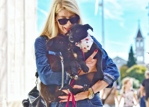 Fotografija 14 - Đir po gradu, subota 11. listopada