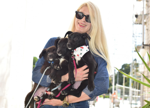 Fotografija 6 - Đir po gradu, subota 11. listopada