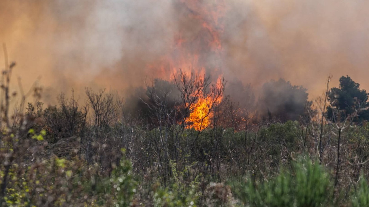 Radna nedjelja za vatrogasce: Gasili na Bikarcu, Unešiću i Širitovcima