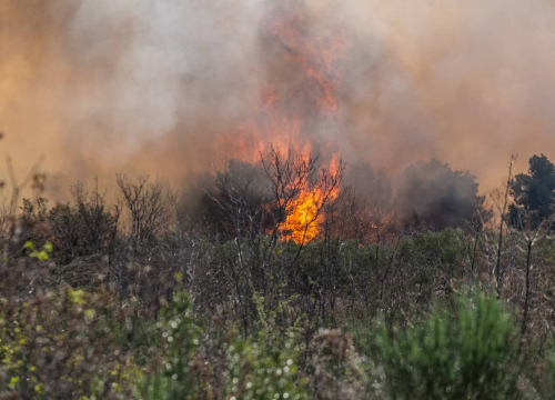 Radna nedjelja za vatrogasce: Gasili na Bikarcu, Unešiću i Širitovcima