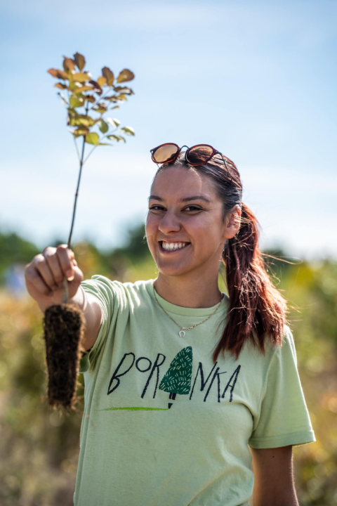 Velika akcija pošumljavanja kod Šibenika: Stotine sadnica posađeno u Lozovcu