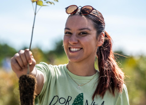 Fotografija 2 - Velika akcija pošumljavanja kod Šibenika: Stotine sadnica posađeno u Lozovcu