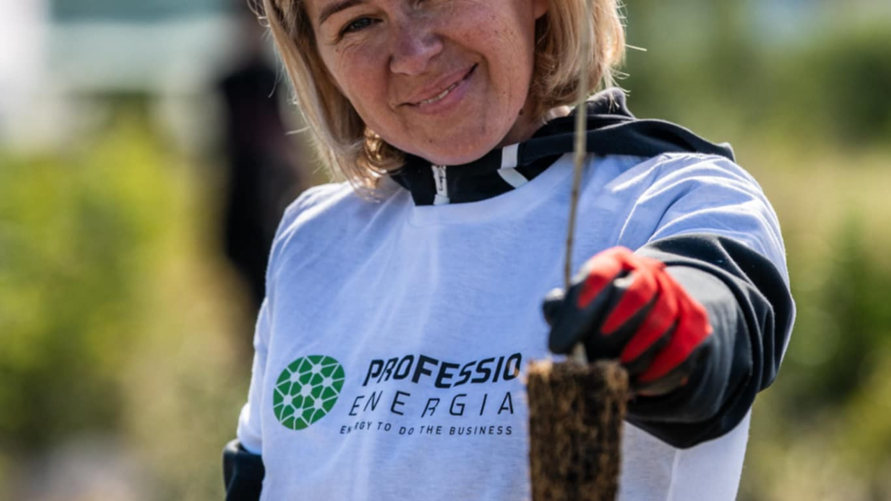 Velika akcija pošumljavanja kod Šibenika: Stotine sadnica posađeno u Lozovcu