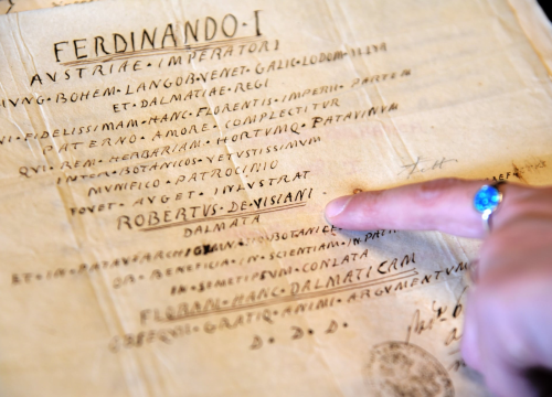 Svečano otvorenje izložbe 'Razvezujući Visianijev fjok' Željka Krnčevića