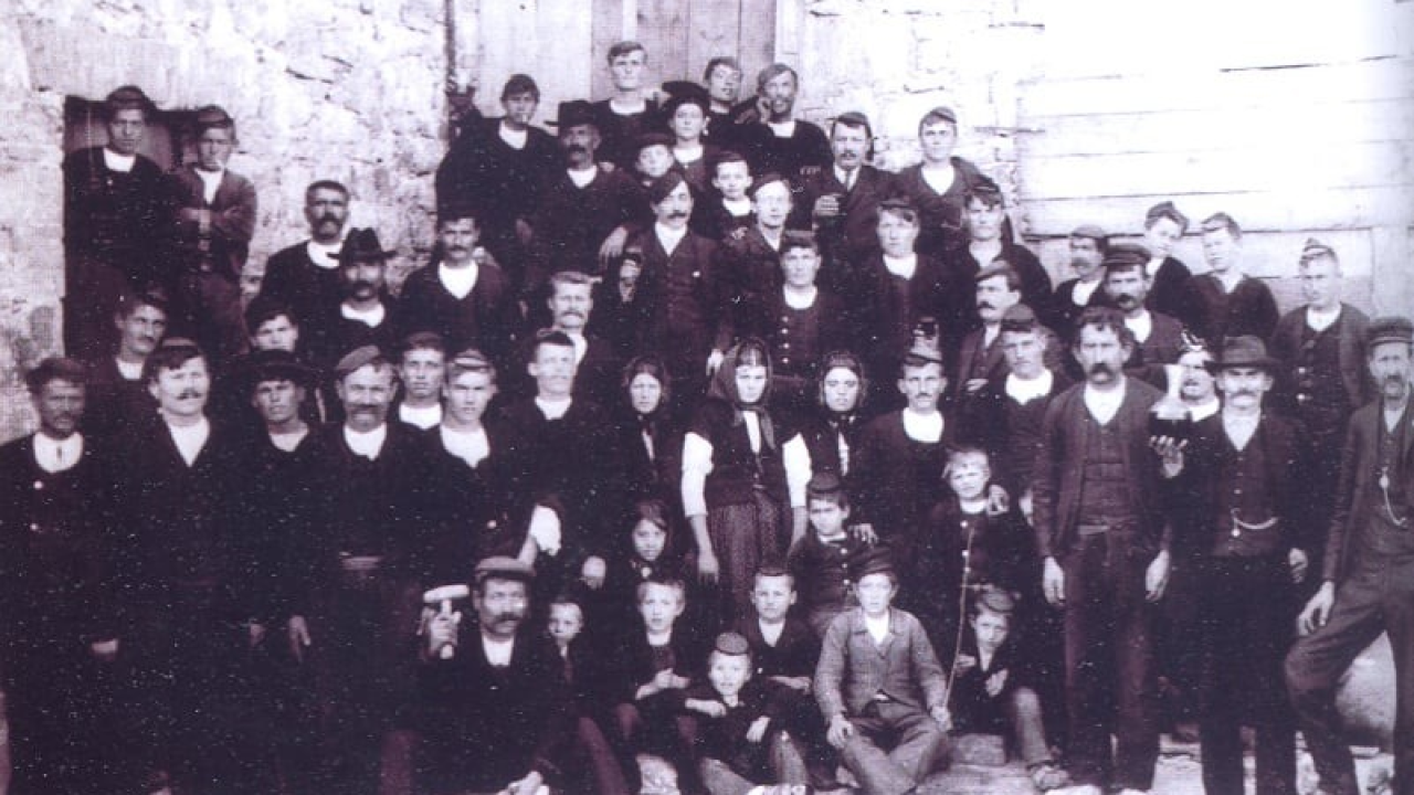 Kapi masline i gušti života: Gurmanske priče s Murtera i Kurnata