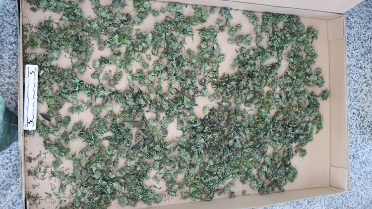 Mirovina nije dovoljna: Pretragom stana 70-godišnjaka pronađeno 4 kilograma marihuane