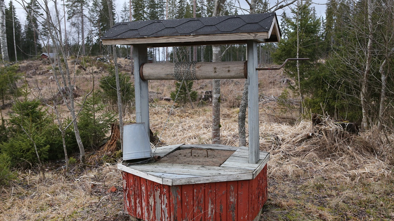 Muškarac nakon svađe bacio 67-godišnjakinju u bunar, susjedi je čuli i spasili