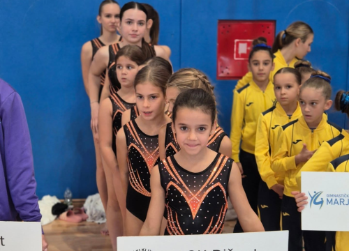 Fotografija 6 - FOTO Gimnastičari Dišpeta ugostili zadnje kolo regije Jug: Spremni za prvenstva države i Balkana
