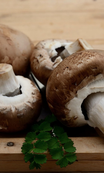 Gljive mogu poboljšati cjelokupno zdravlje. Jedite ih što češće