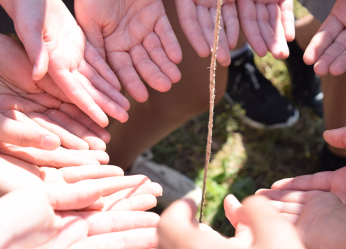 Fotografija 4 - NP Krka prednjači u provođenju edukativnih programa za djecu i mlade
