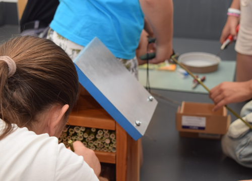 Fotografija 11 - NP Krka prednjači u provođenju edukativnih programa za djecu i mlade