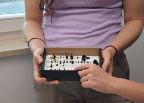 Fotografija 6 - NP Krka prednjači u provođenju edukativnih programa za djecu i mlade