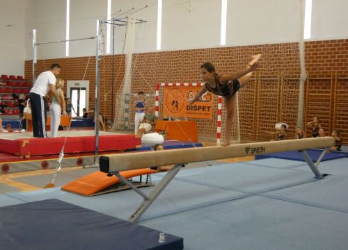 Fotografija 14 - FOTO GK Dišpet nakon uspješno organiziranog turnira: 'Želimo razvijati gimnastiku u gradu, treba nam dodatni prostor'