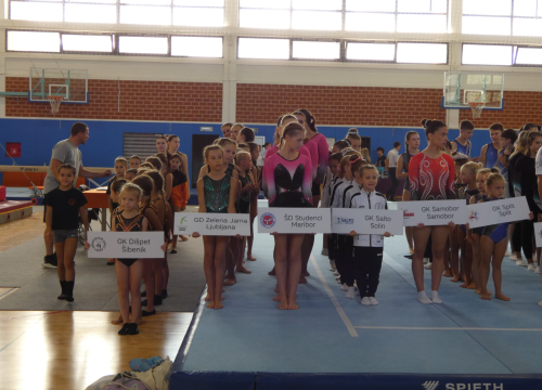 Fotografija 25 - FOTO GK Dišpet nakon uspješno organiziranog turnira: 'Želimo razvijati gimnastiku u gradu, treba nam dodatni prostor'