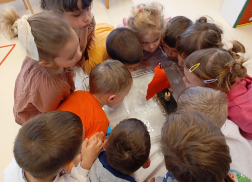 Fotografija 7 - Igrom i edukacijom malih ekologa u vodičkom vrtiću obilježen Svjetski dan voda