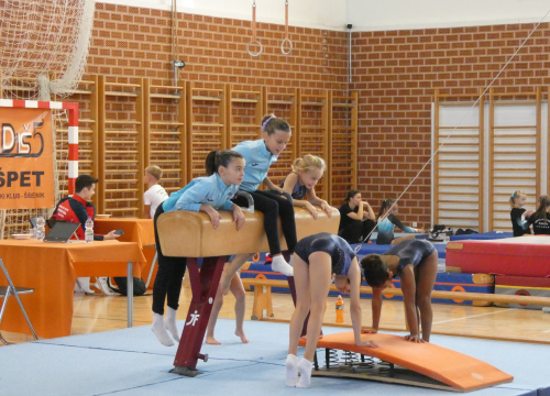Fotografija 24 - FOTO GK Dišpet nakon uspješno organiziranog turnira: 'Želimo razvijati gimnastiku u gradu, treba nam dodatni prostor'
