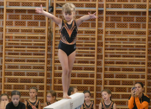 Fotografija 12 - FOTO GK Dišpet nakon uspješno organiziranog turnira: 'Želimo razvijati gimnastiku u gradu, treba nam dodatni prostor'