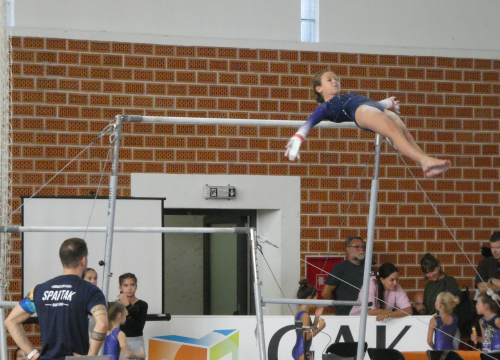 Fotografija 20 - FOTO GK Dišpet nakon uspješno organiziranog turnira: 'Želimo razvijati gimnastiku u gradu, treba nam dodatni prostor'